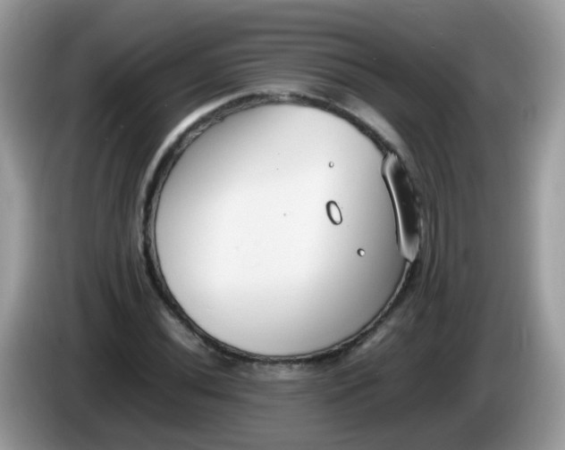 X0000086241020200704121930