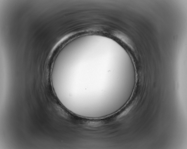 X0000086241021200704121930