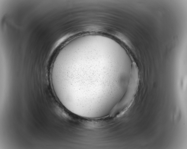 X0000086241022200704121930