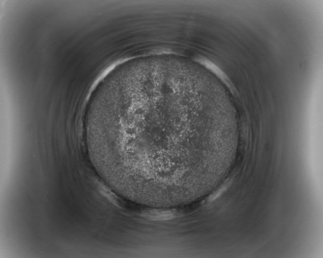 X0000086241023200704121930