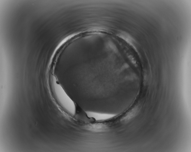 X0000086241024200704121930