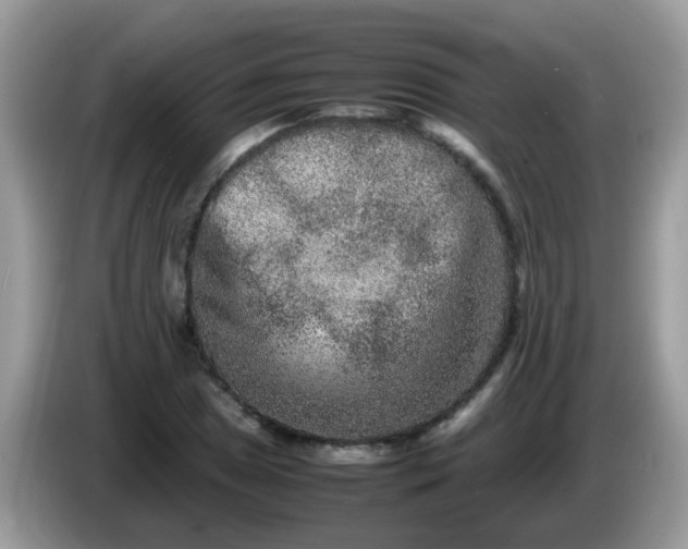 X0000086241025200704121930