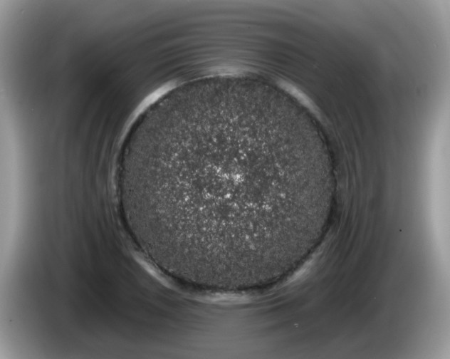 X0000086241026200704121930