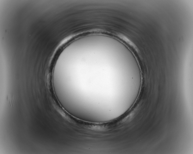 X0000086241029200704121930
