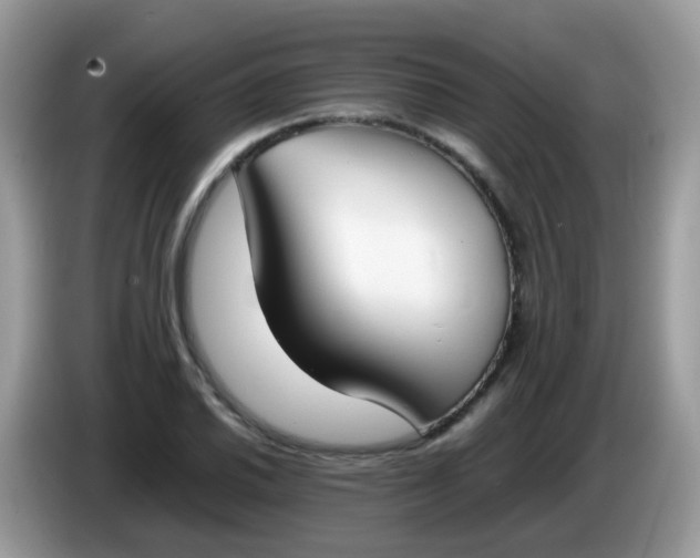 X0000086241030200704121930