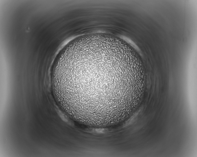 X0000086241031200704121930