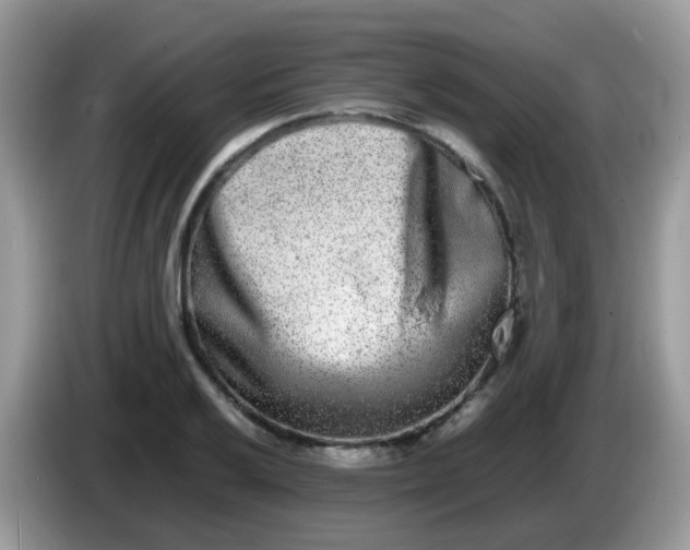 X0000086241032200704121930