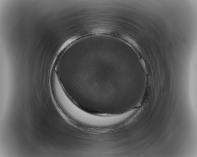 X0000086241034200704121930