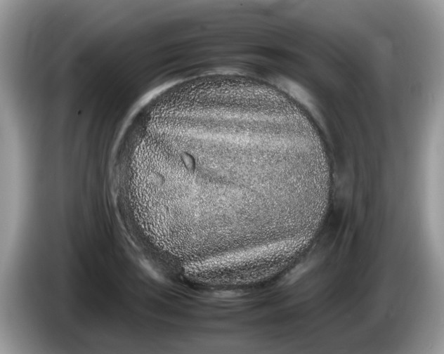 X0000086241035200704121930