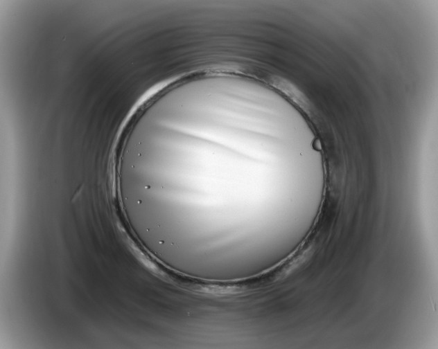 X0000086241036200704121930