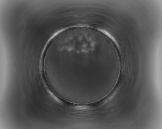 X0000086241037200704121930