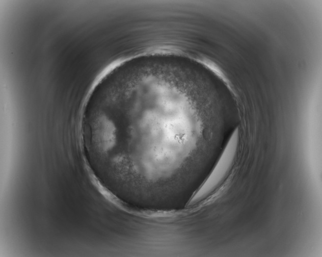 X0000086241038200704121930
