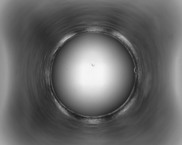 X0000086241041200704121930