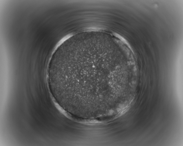 X0000086241042200704121930