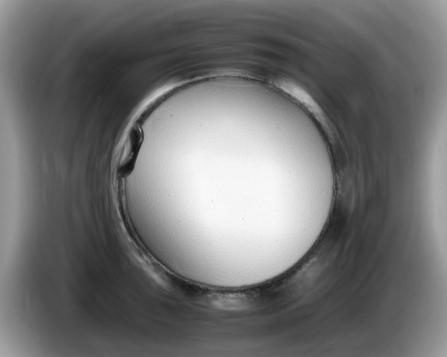 X0000086241043200704121930
