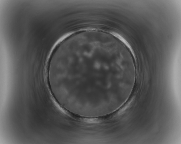 X0000086241045200704121930
