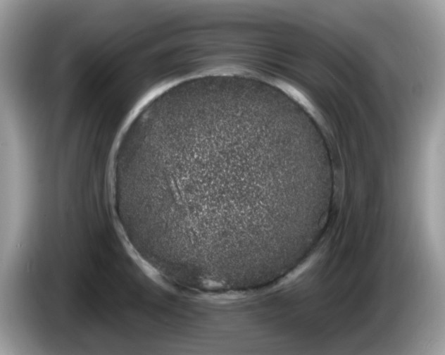 X0000086241046200704121930