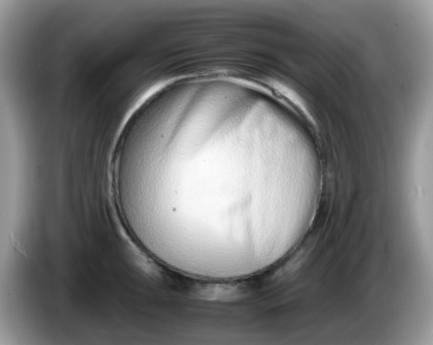 X0000086241047200704121930