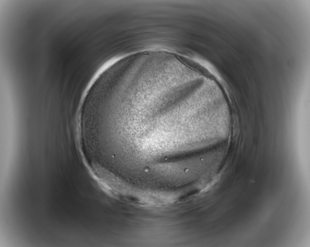 X0000086241048200704121930