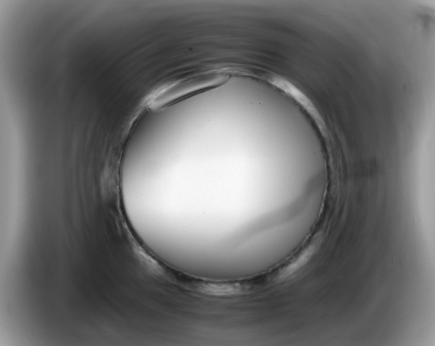 X0000086241049200704121930