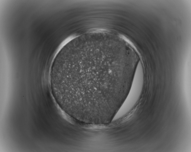 X0000086241050200704121930