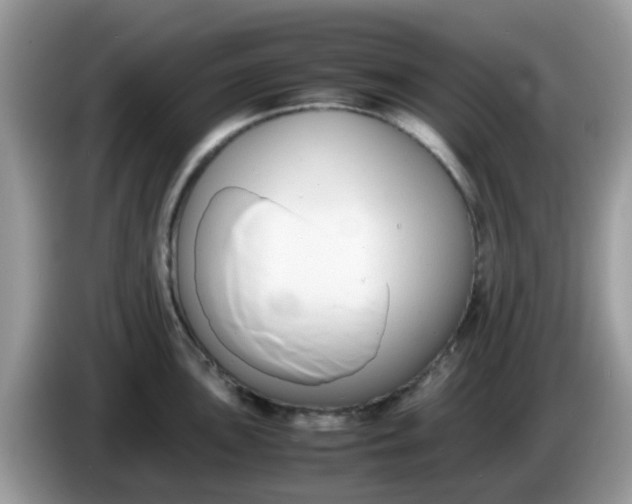 X0000086241051200704121930