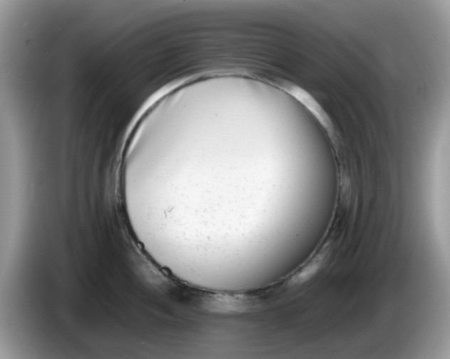 X0000086241052200704121930