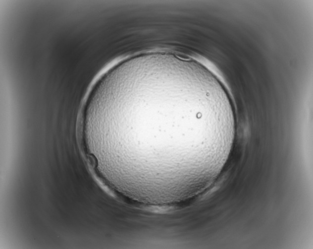 X0000086241053200704121930
