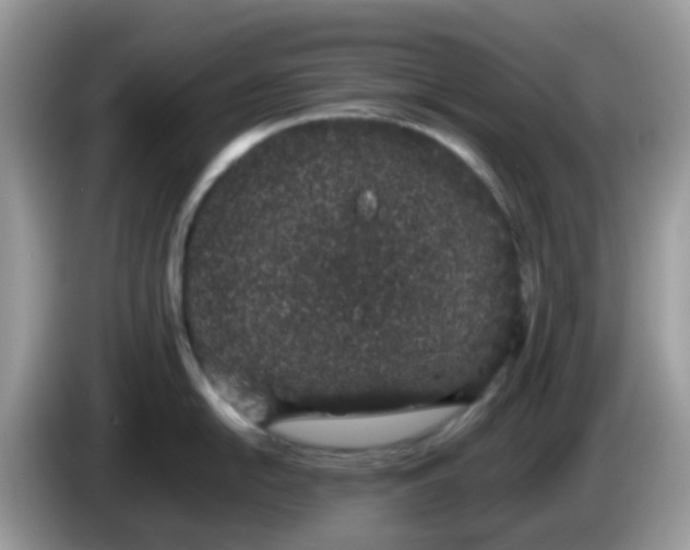 X0000086241054200704121930