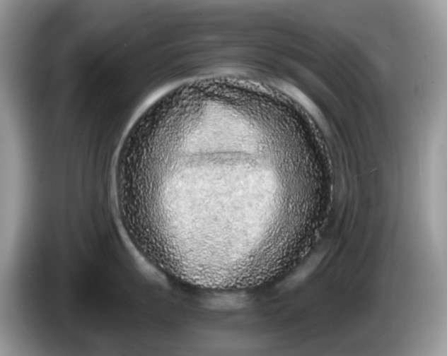 X0000086241055200704121930