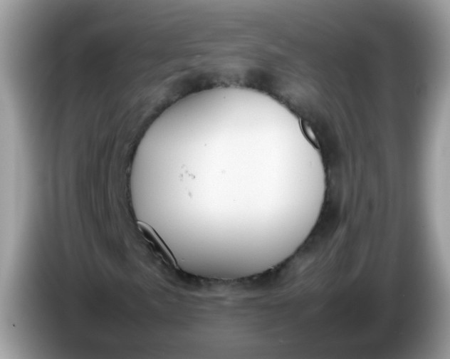 X0000086241057200704121929
