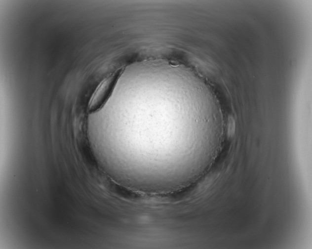 X0000086241059200704121929