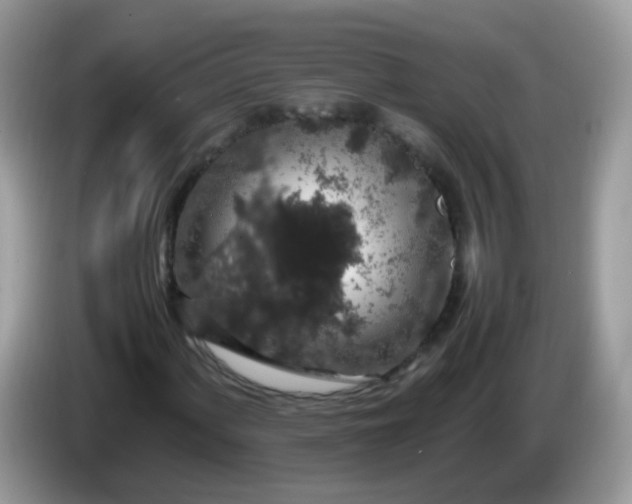 X0000086241060200704121929