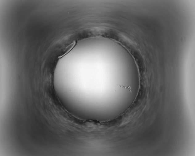 X0000086241061200704121929