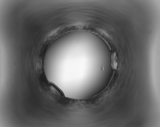 X0000086241062200704121929