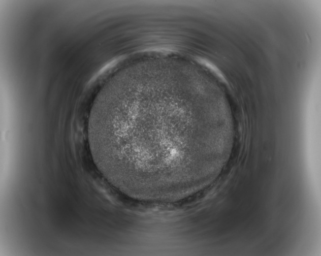 X0000086241064200704121929