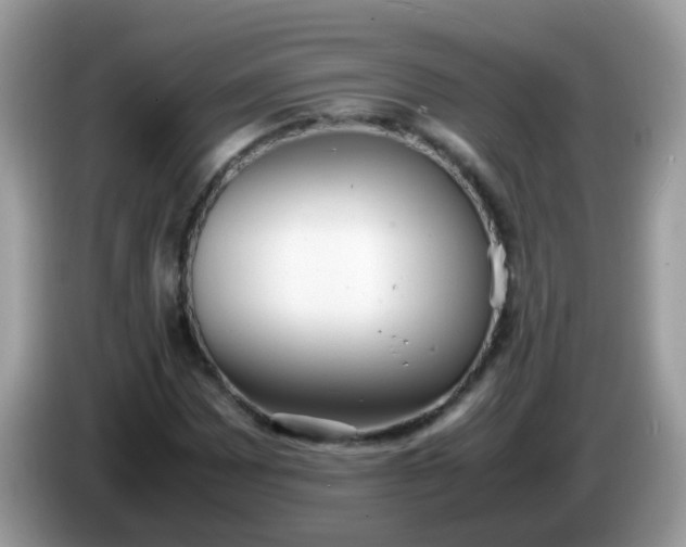 X0000086241065200704121929