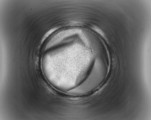 X0000086241066200704121929