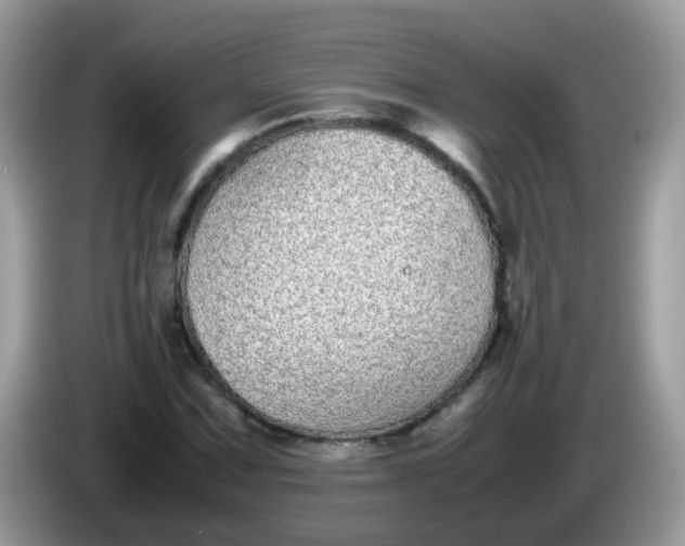 X0000086241067200704121929