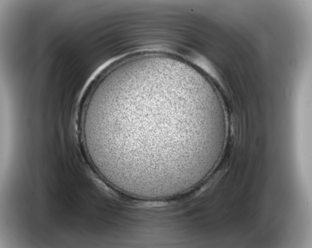 X0000086241068200704121929