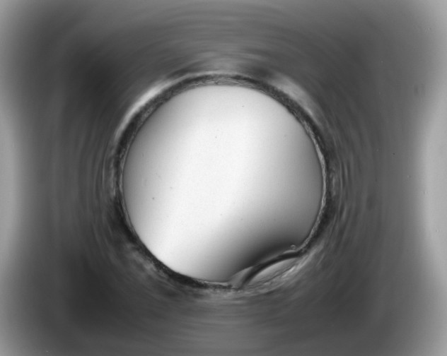 X0000086241069200704121929
