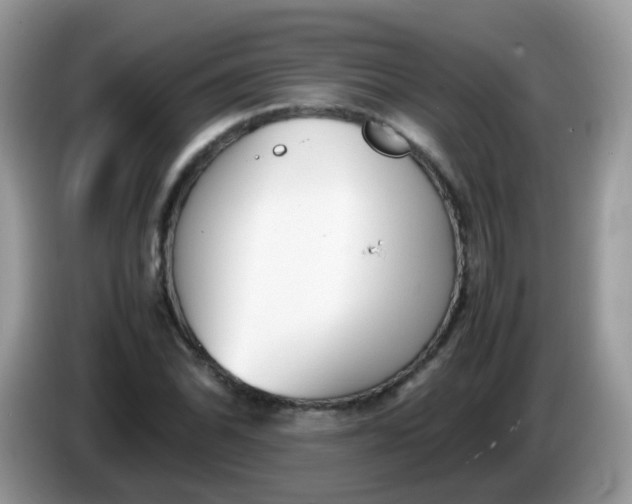 X0000086241070200704121929