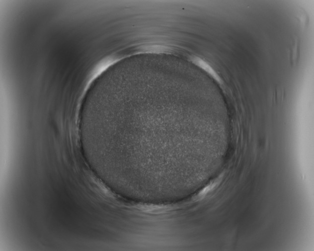 X0000086241071200704121929