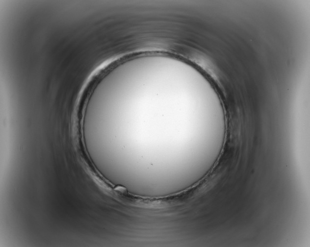 X0000086241072200704121929