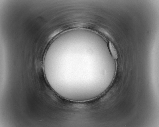 X0000086241073200704121929