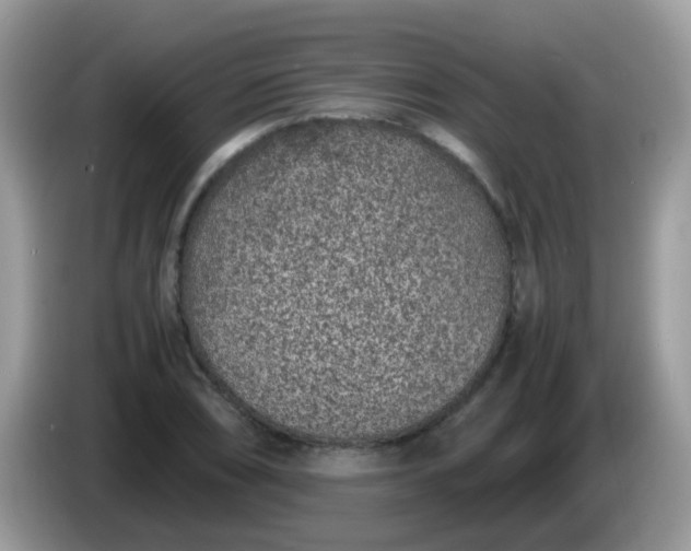 X0000086241074200704121929