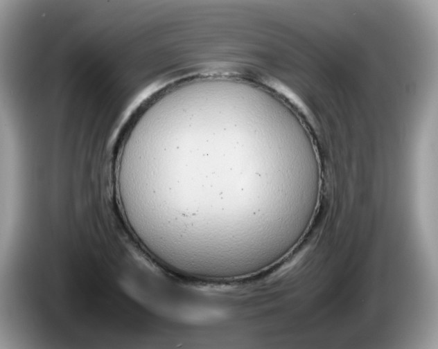 X0000086241075200704121929