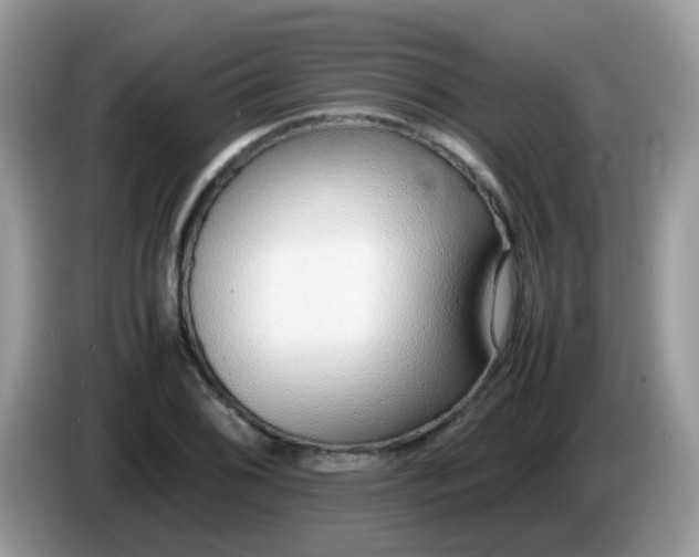 X0000086241076200704121929
