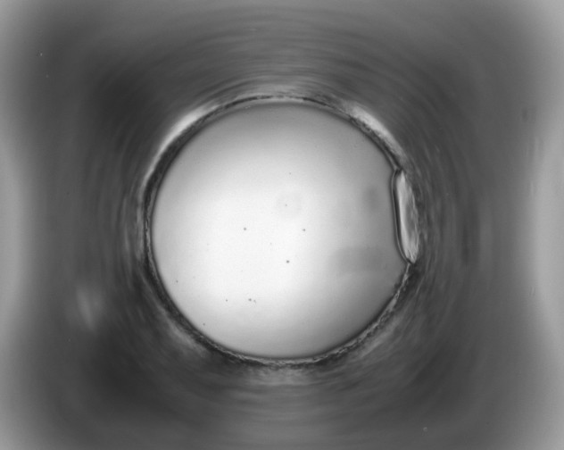 X0000086241079200704121929