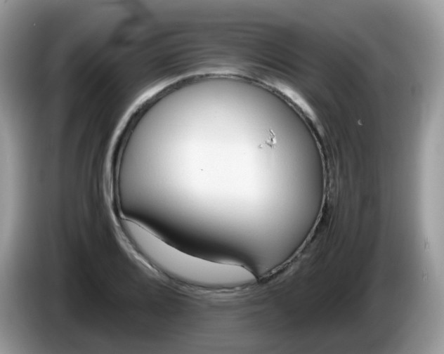 X0000086241080200704121929